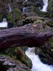 Falls xii